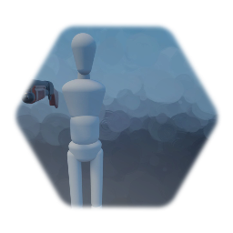 First person shotgun