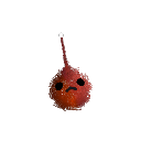 BloonChip