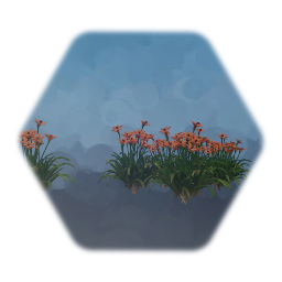 Orange Daylilly / 4th of July Lilly