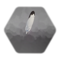 Eagle Feather