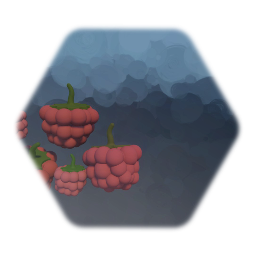 Himbeere / Raspberry