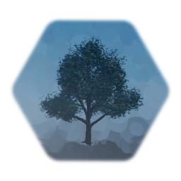 Oak tree 1