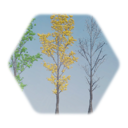 Siberian Plantlife for @Tapio_X