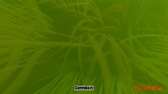 A screenshot taken in Dreams. 5 of 14.