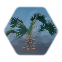 Palmetto