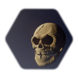 Realistic Weathered Skull
