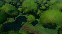 Meme forest