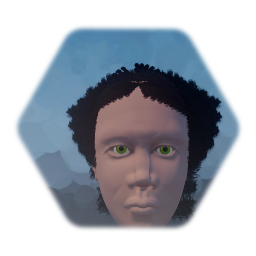 Human Head 2.0