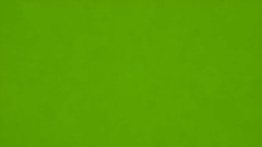 Ruler of Everything but Anto and Squiddy