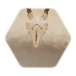 Desert animal skull