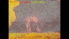 A screenshot taken in Dreams. 1 of 3.