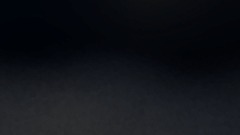 The quest for cheese movie:trailer CANCELLED LOL