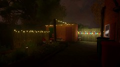 My garden at night