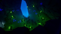 The Mysterious Forest