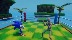Sonic Fighters