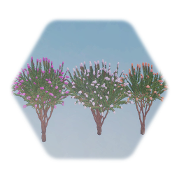 Realistic Crepe Myrtle Tree