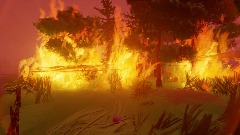forest fire run (MUST READ DESC)