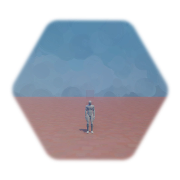 3rd person cam and body template