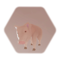 Pig