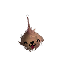 ShanaenaeBobanga