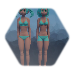 Bodies for Twin girls－双子少女－Anime face