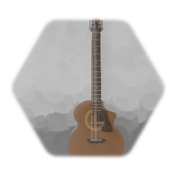 Acoustic Guitar