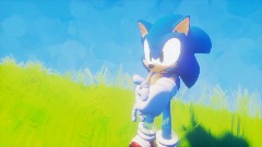 Sonic 2d experience