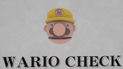 WARIO CHECK