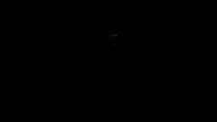 Hold my Horse