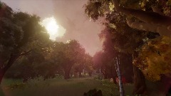 The untouched forest