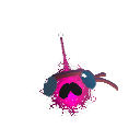 Not_FrostB1te