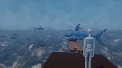 Shark survival