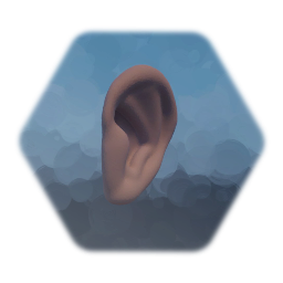 Ear