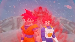 SSJ GOD GOKU AND SSJ GOD VEGETA