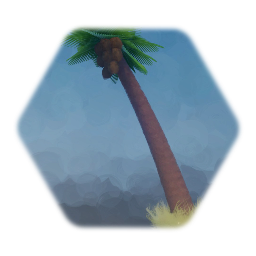 Palm Tree