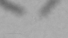 Walking / Running Sim 2