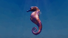 Seahorse