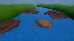 Turtle Restoring (DHM 30mins Challenge)