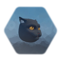 猫の頭		 cat head