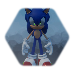 Sonic Momentum Physics Test