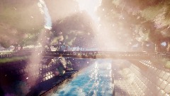 Cherry Blossoms in March