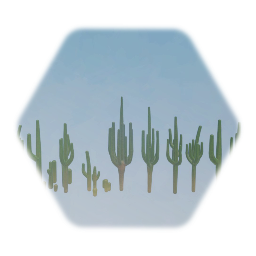 Saguaro Cacti