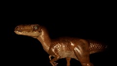 Movie accurate Velociraptor