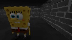 Spong