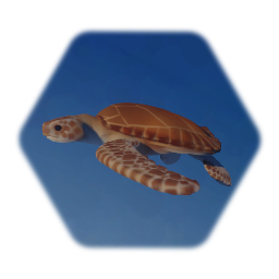 Sea Turtle