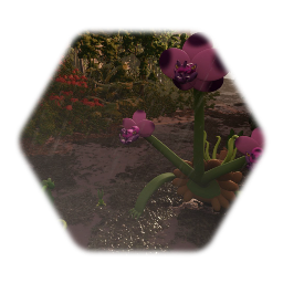 Angroot, Blossnap, Orchydra