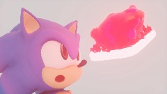 Sonic and the Turkey