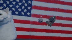 cat infront of the flag