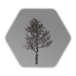 Deciduous Tree (Winter)