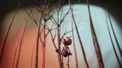 A screenshot taken in Dreams. 2 of 6.